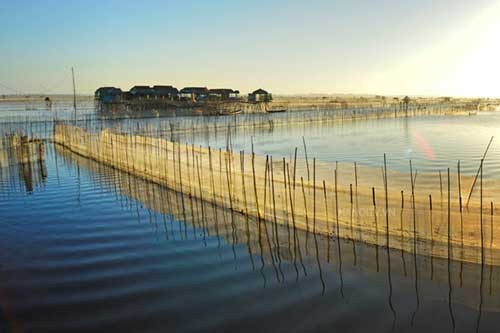 Dam Chuon at dawn - ảnh 3